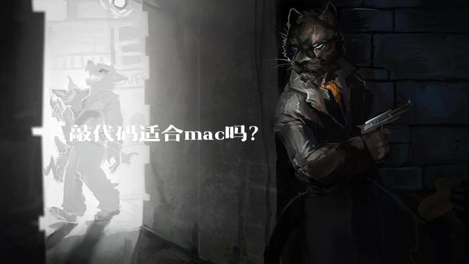 敲代码适合mac吗？