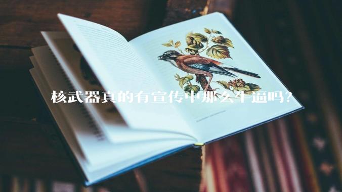 核武器真的有宣传中那么牛逼吗？