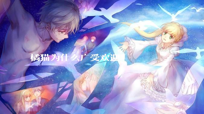 橘猫为什么广受欢迎？