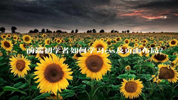 前端初学者如何学习css及页面布局？
