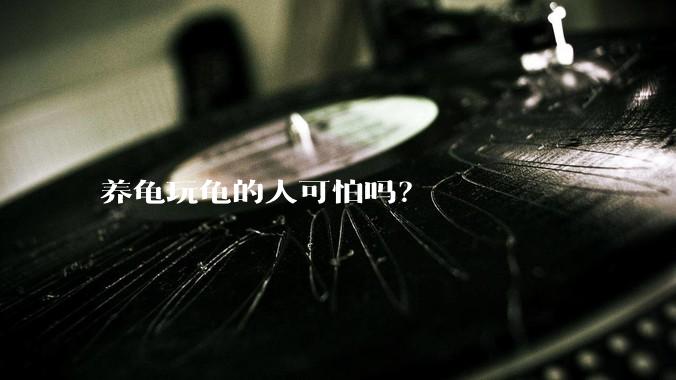 养龟玩龟的人可怕吗？