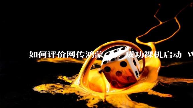 如何评价网传鸿蒙 PC 成功裸机启动 Windows ARM？